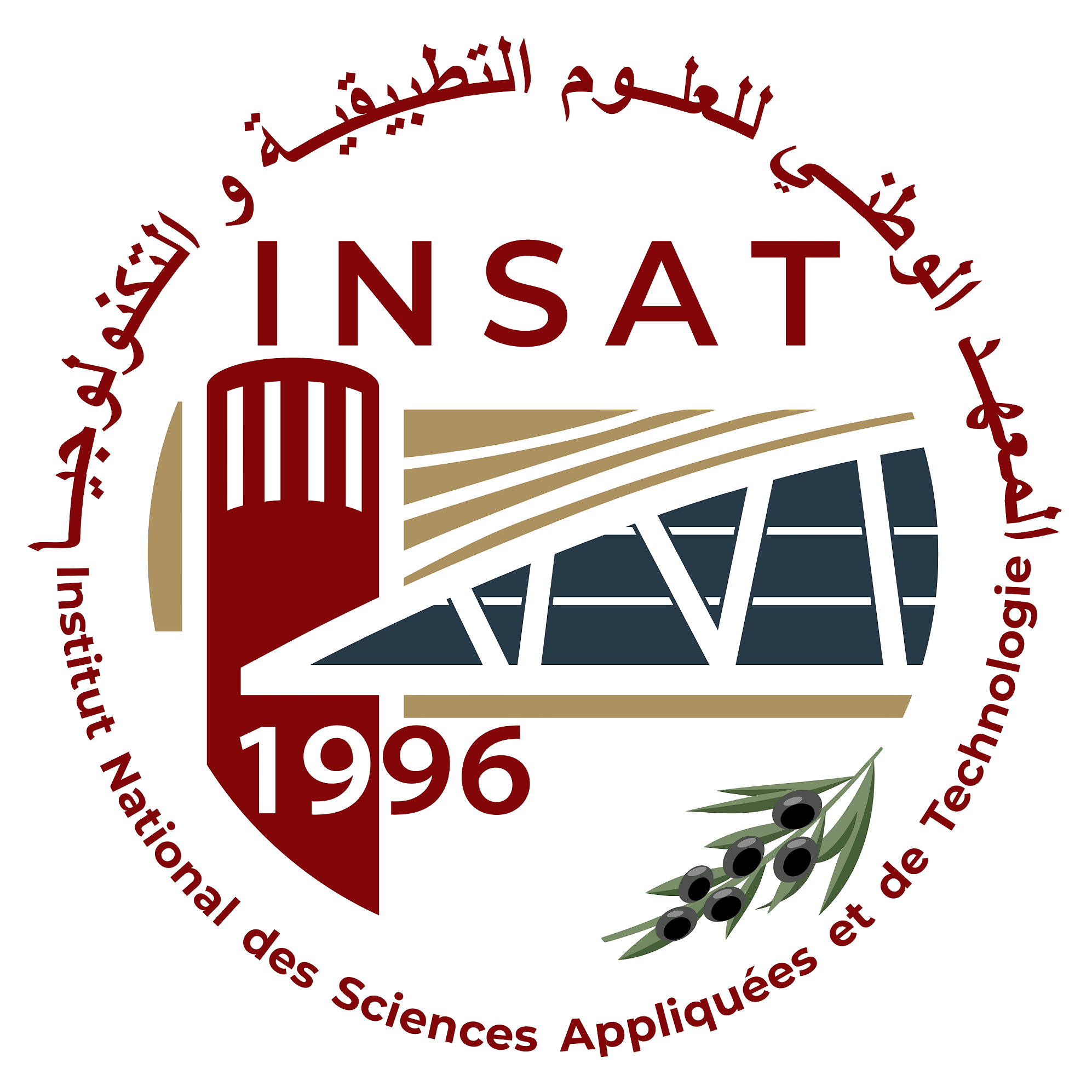 INSAT logo